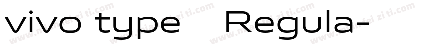 vivo type 简 Regula字体转换